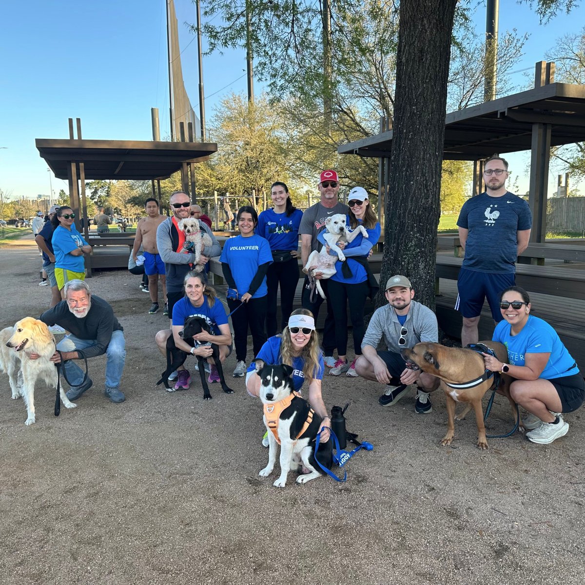 Houston SPCA tweet media