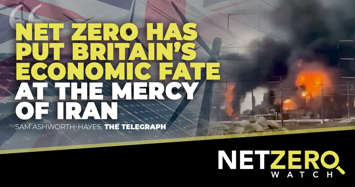 Net Zero Watch tweet media