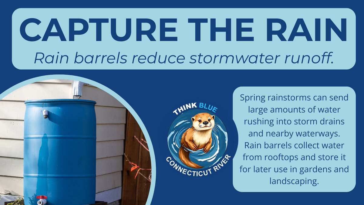 Think Blue Connecticut River tweet media