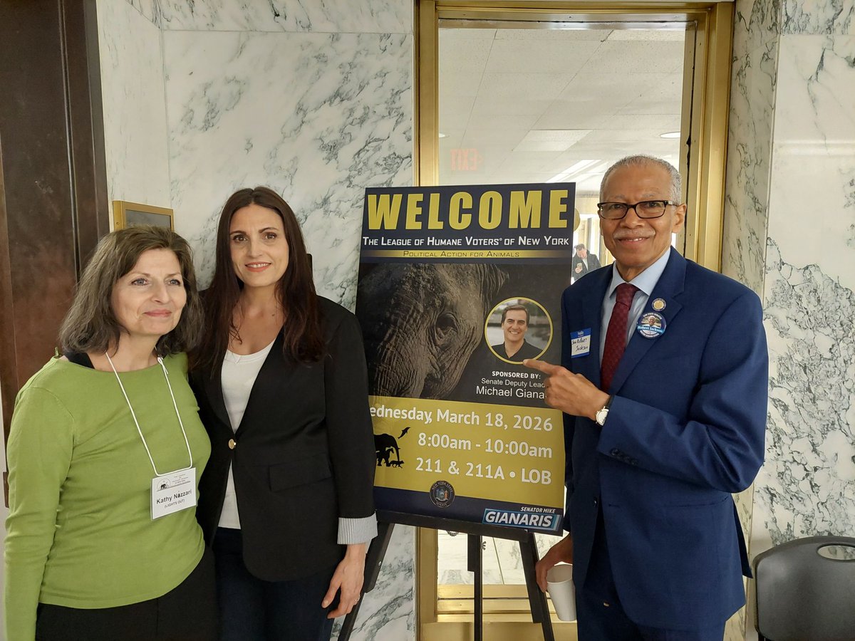 Lights Out Coalition tweet media