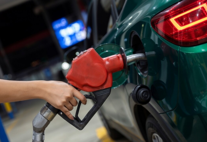 みるん@楽しい話題🐧 tweet media