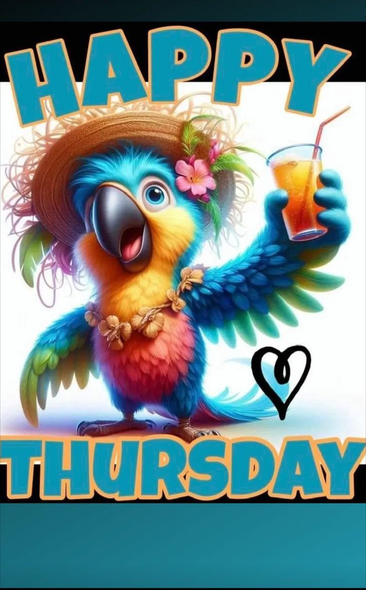 SwimBoi🩳🐬 tweet media