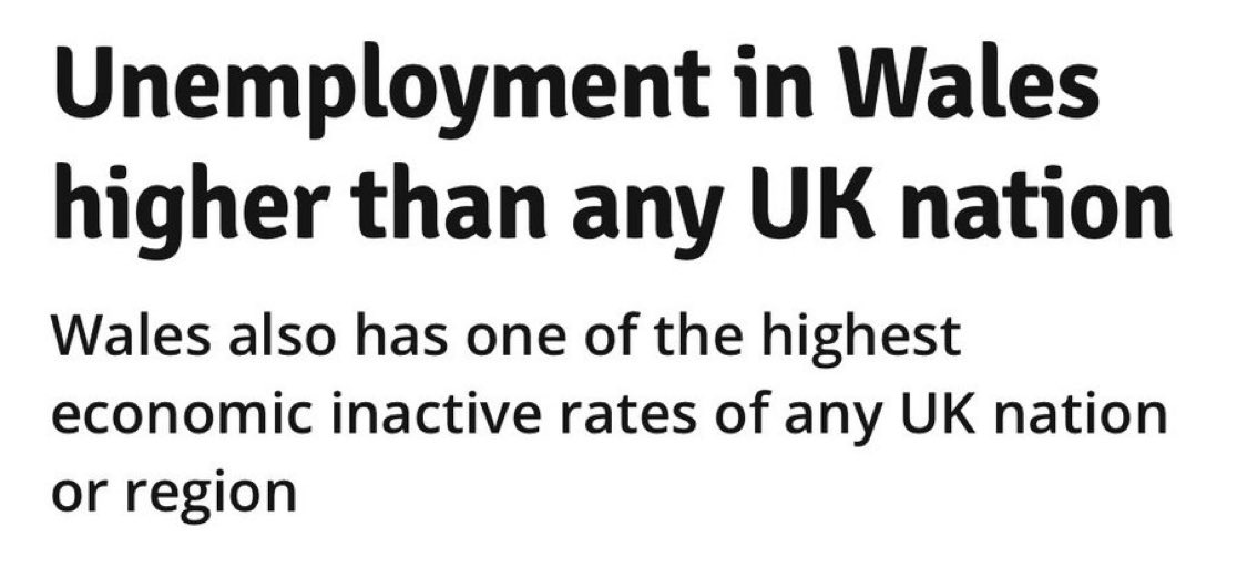 The Reform Daily tweet media