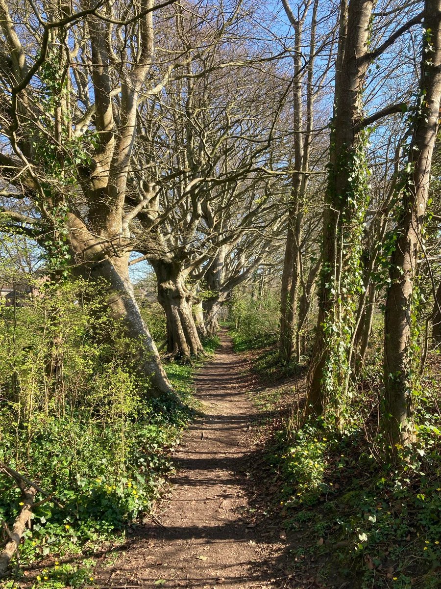 Jake Birkett - Veteran Indie tweet media