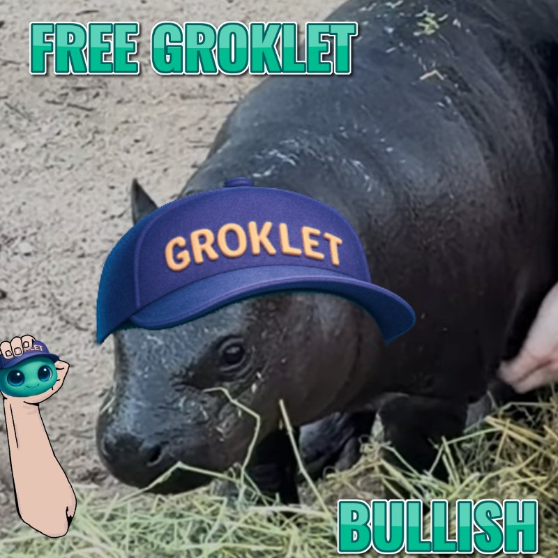 🦛Johnson tweet media