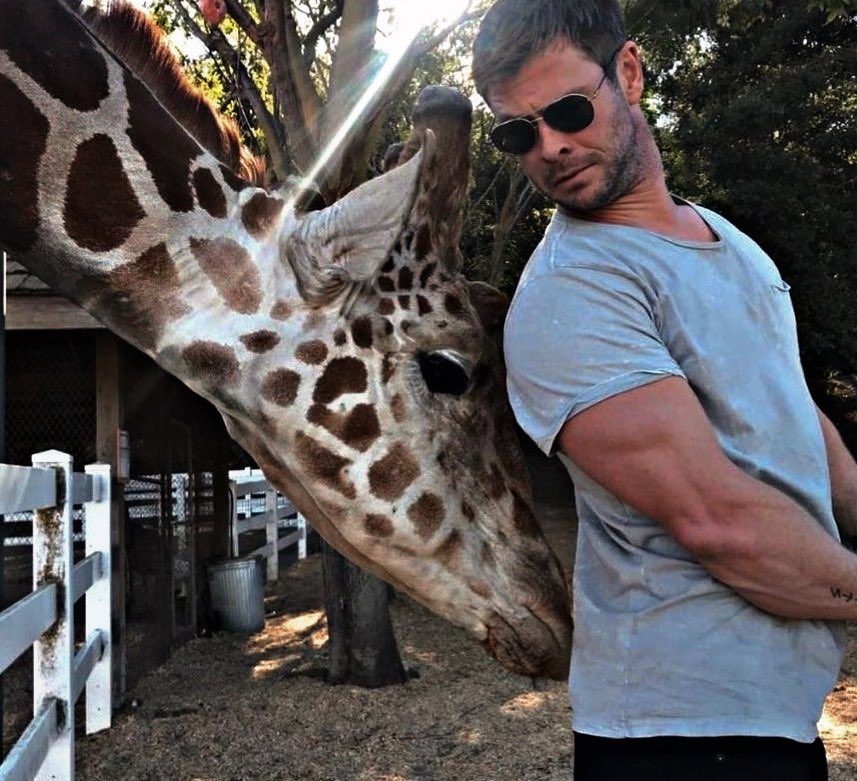 Cняιѕ Ｈ. tweet media