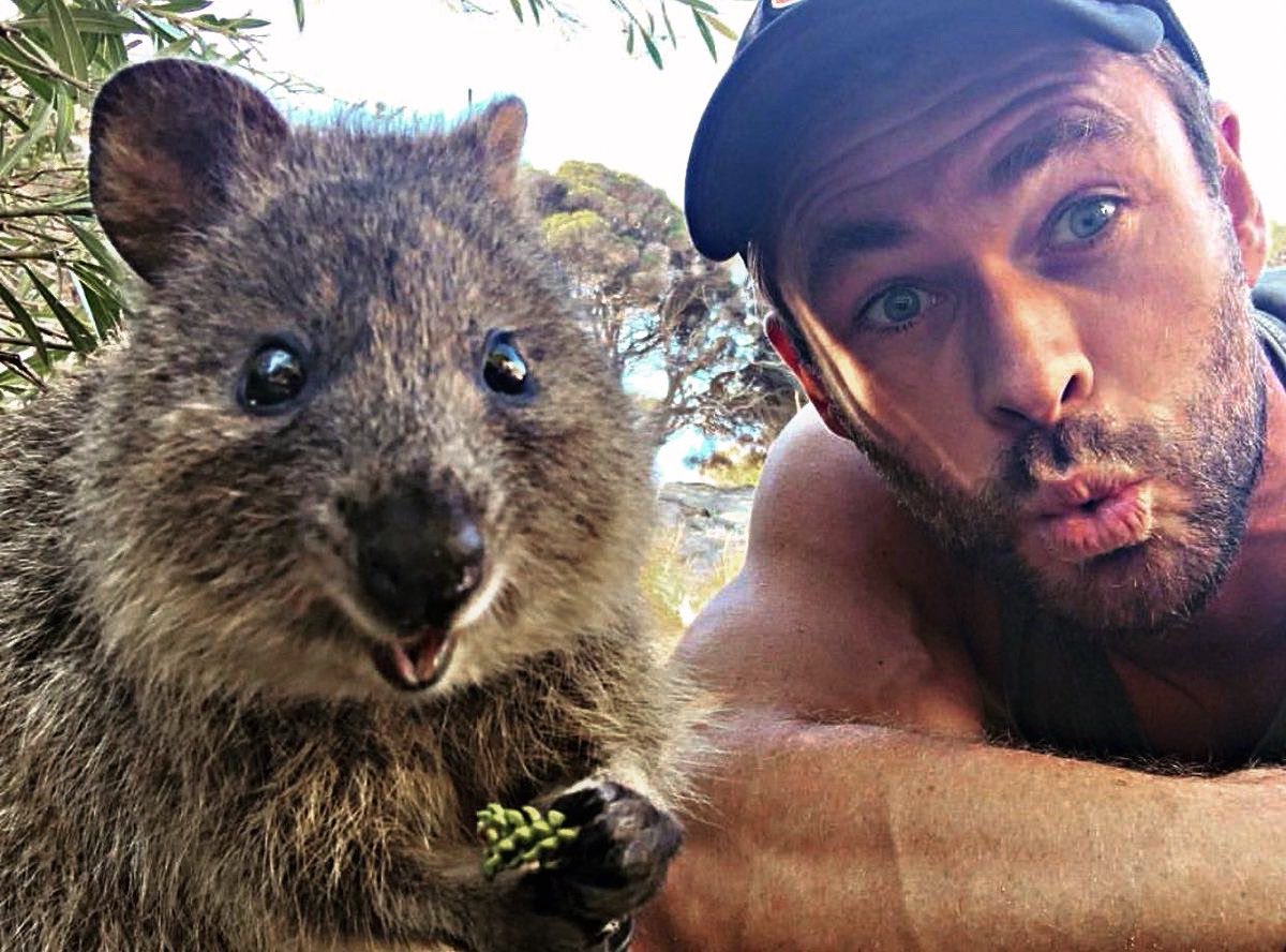 Cняιѕ Ｈ. tweet media