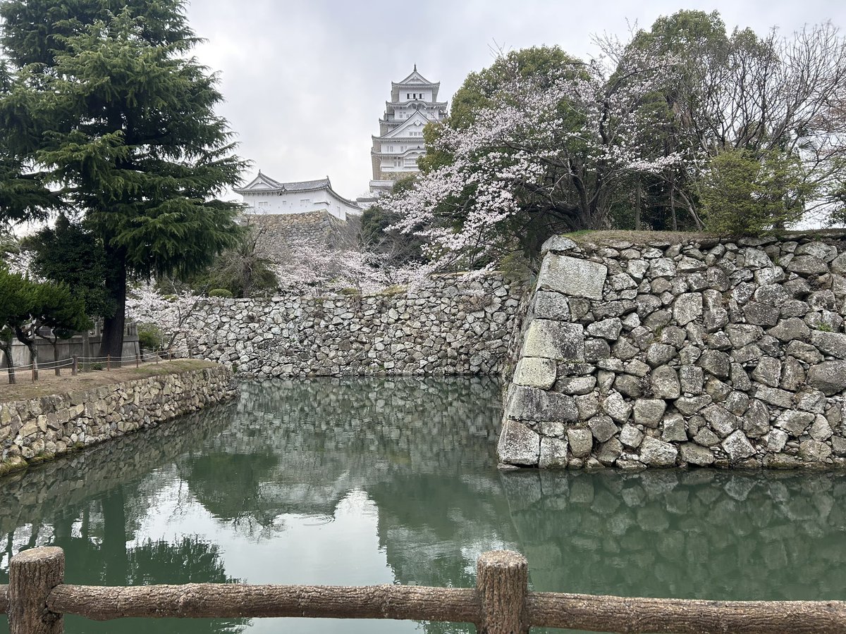 EXPLOREHIMEJI's tweet photo. In spring, you can see a lot of cherry blossoms at Himeji-castle 🌸 

The view is very beautiful!!
#Himeji #castle https://t.co/uyeTtJXEdP