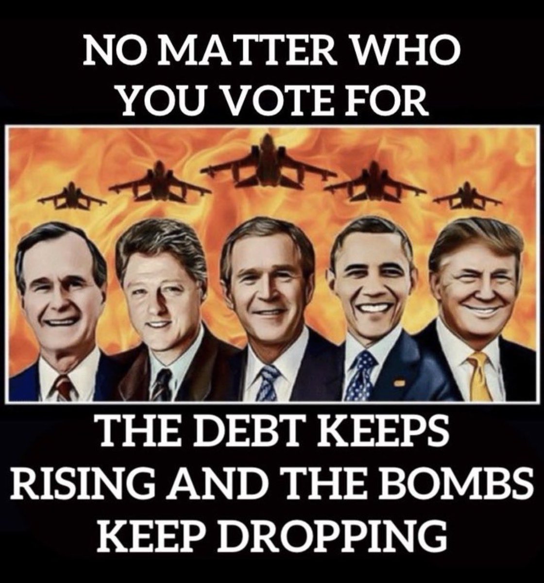 Mermaid Bear🐻⚓️ tweet media