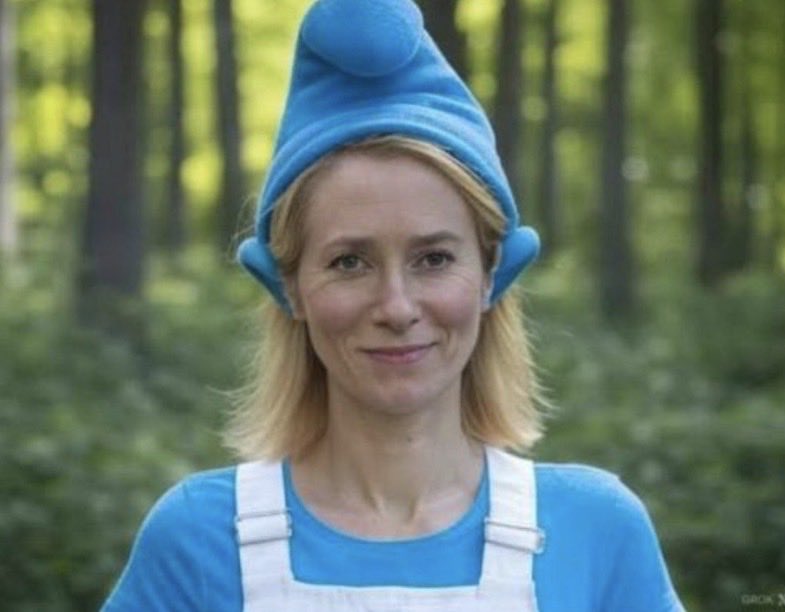 Renard Jean-Michel tweet media