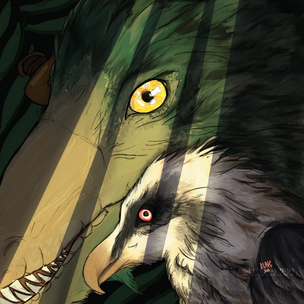 rune 🪶the real daddy vulture tweet media