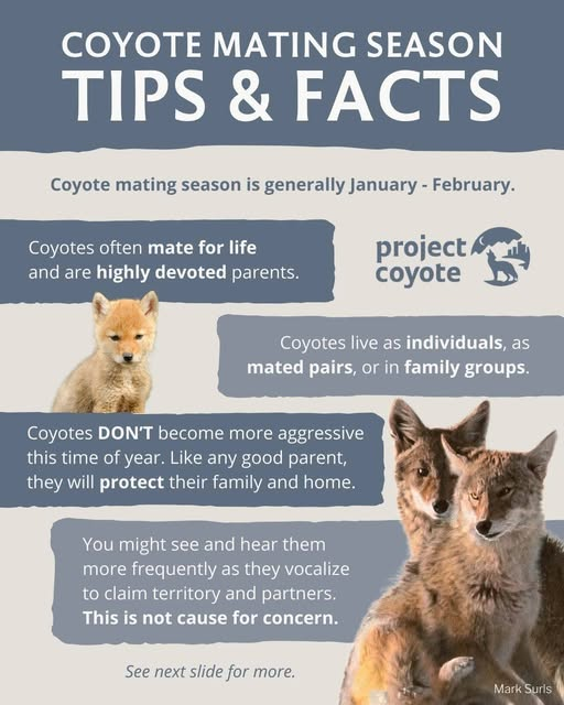 BanKillingContests tweet media