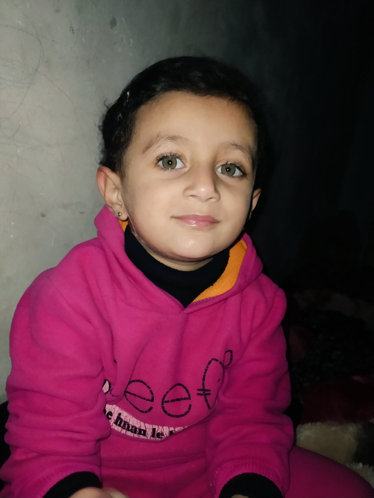 Lana & Hala Family's 🇵🇸🍉 tweet media