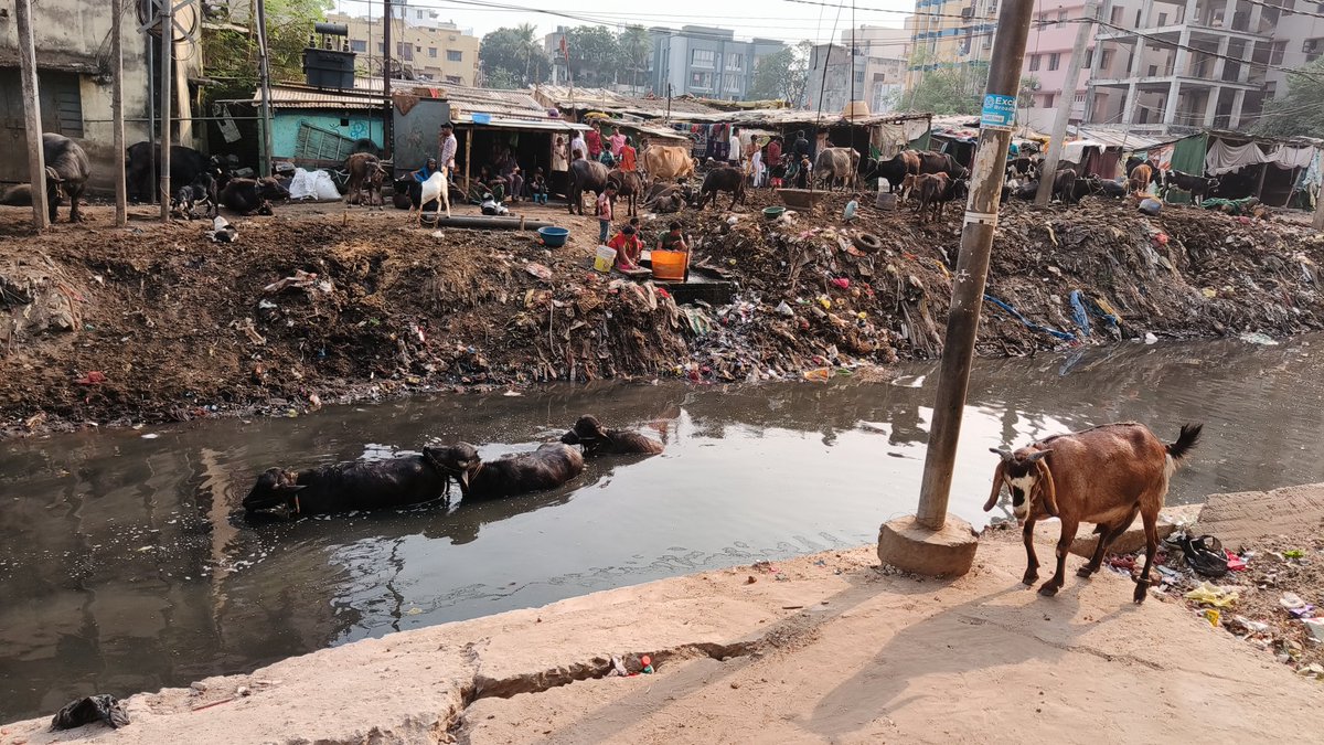 Bihar Wallah tweet media