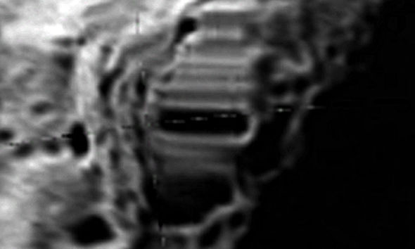 UFO mania tweet media