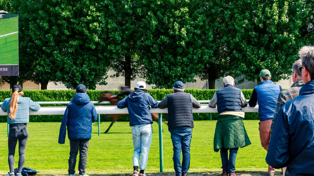 Racing Post Bloodstock tweet media