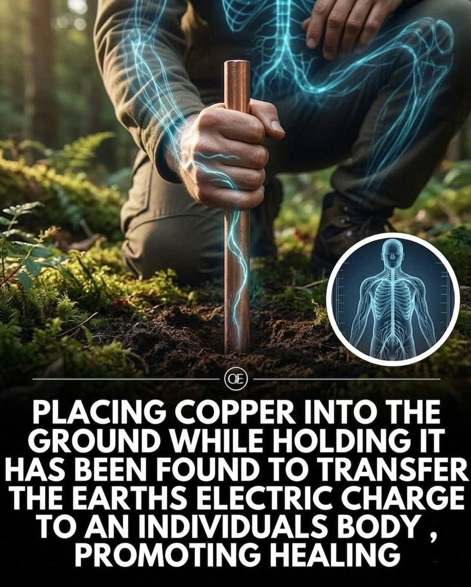 🧬Maxpein🧬 tweet media