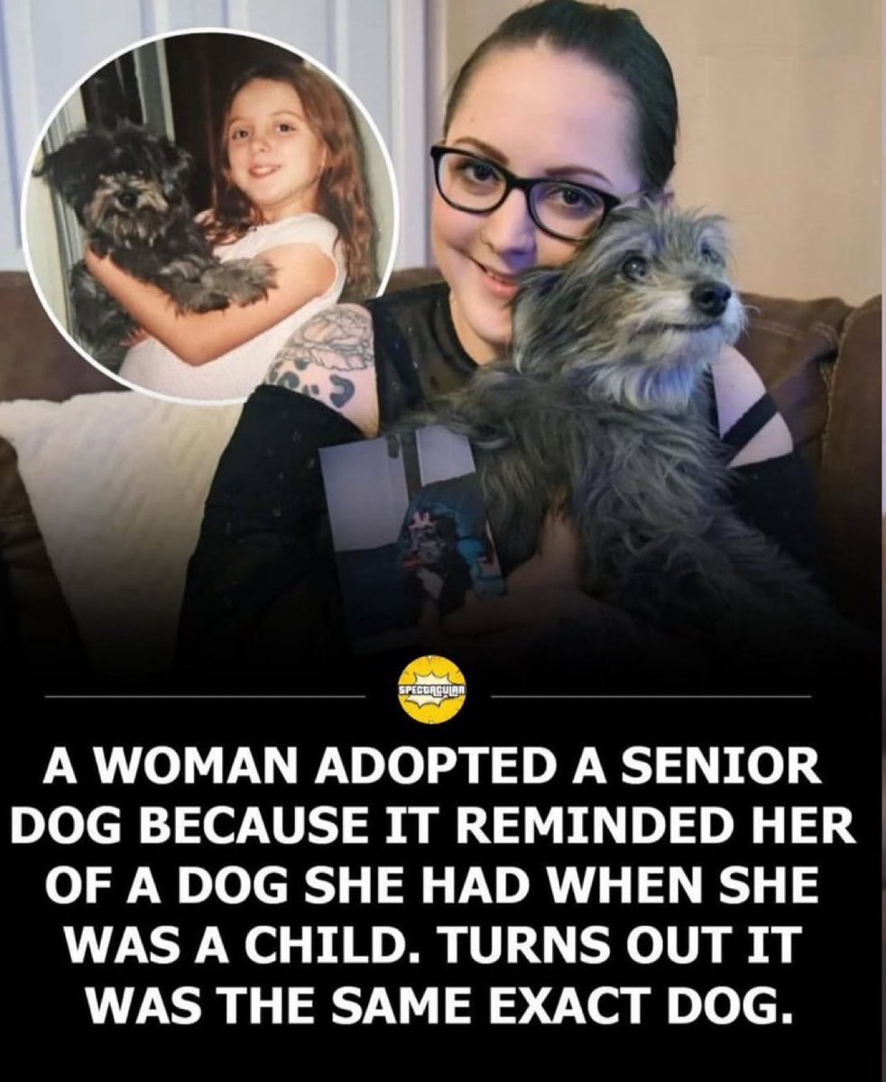 Puppies 🐶 (@puppiesiover) on Twitter photo 
