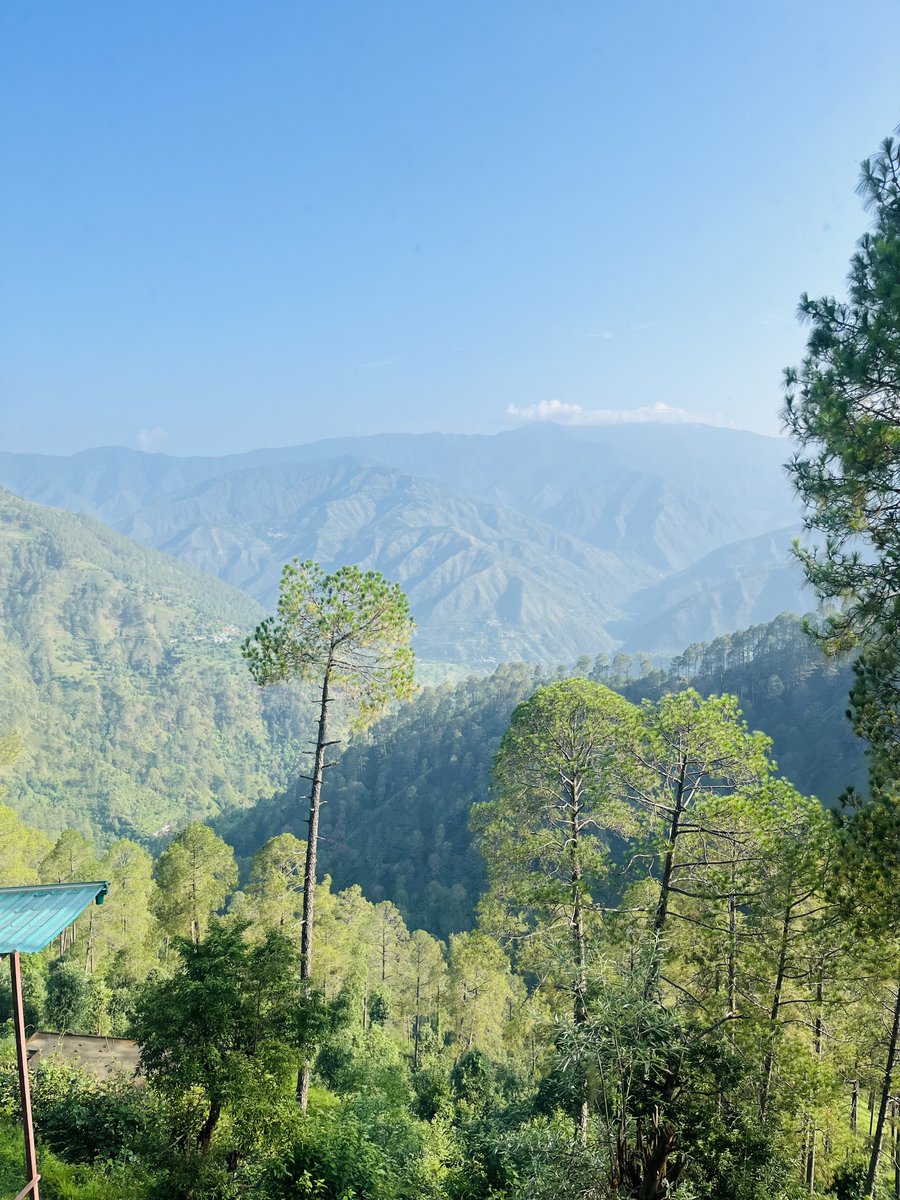 peakmode tweet media