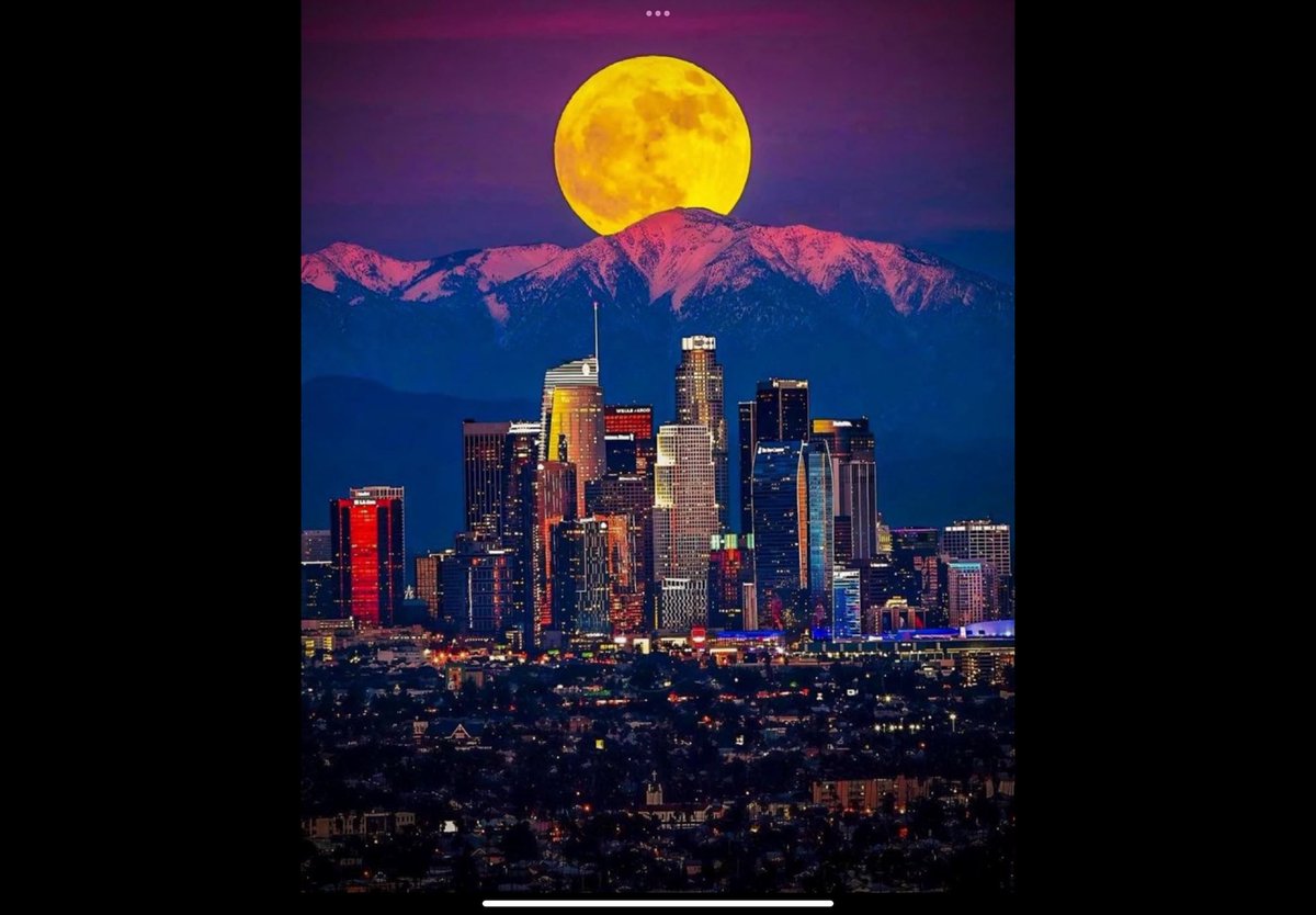 WiseUncleBuck tweet media