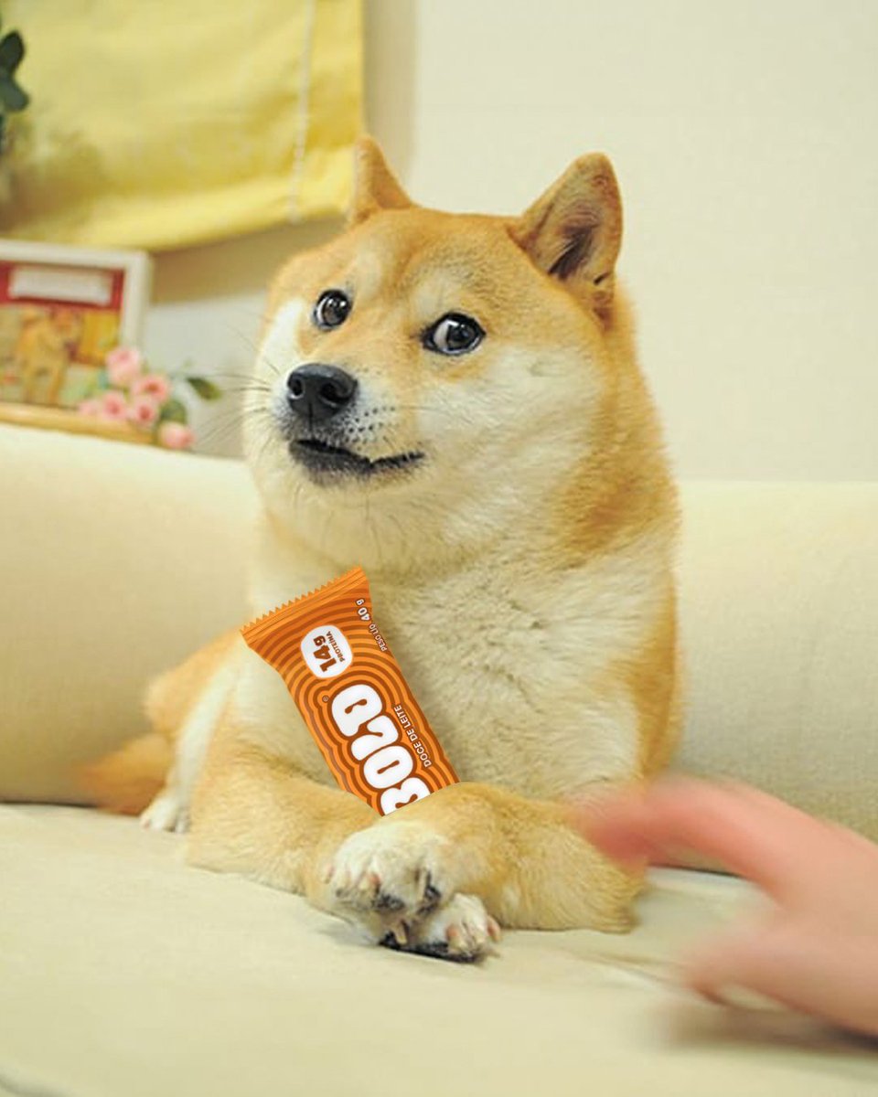 BOLD SNACKS tweet media