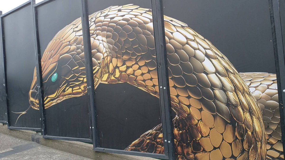 CoasterPilot🎢✈️ tweet media