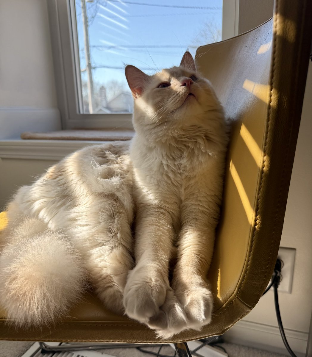 Max Evans tweet media