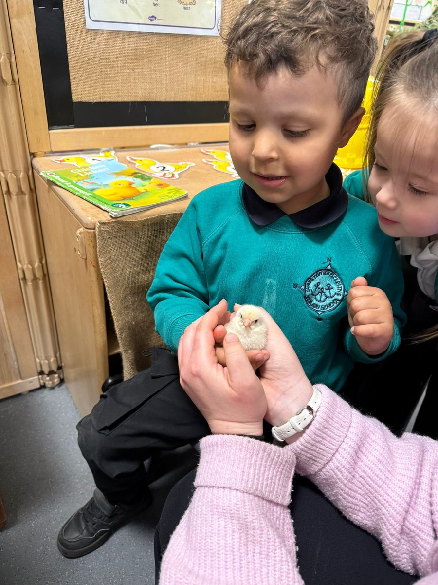 CPickering Primary tweet media