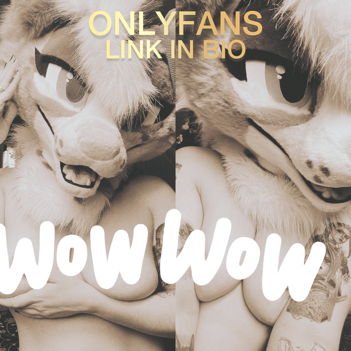 The Midnight Howl tweet media