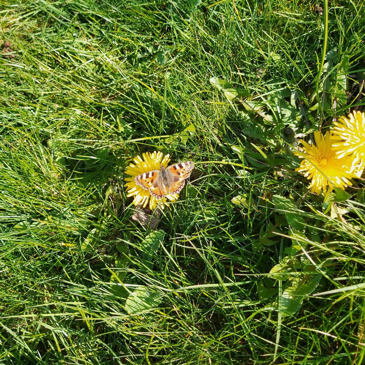 Stephanie Presdee tweet media