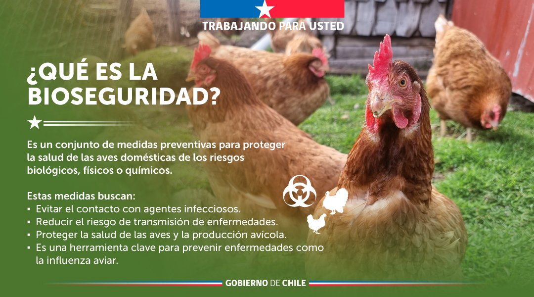 Ministerio de Agricultura de Chile 🇨🇱 tweet media