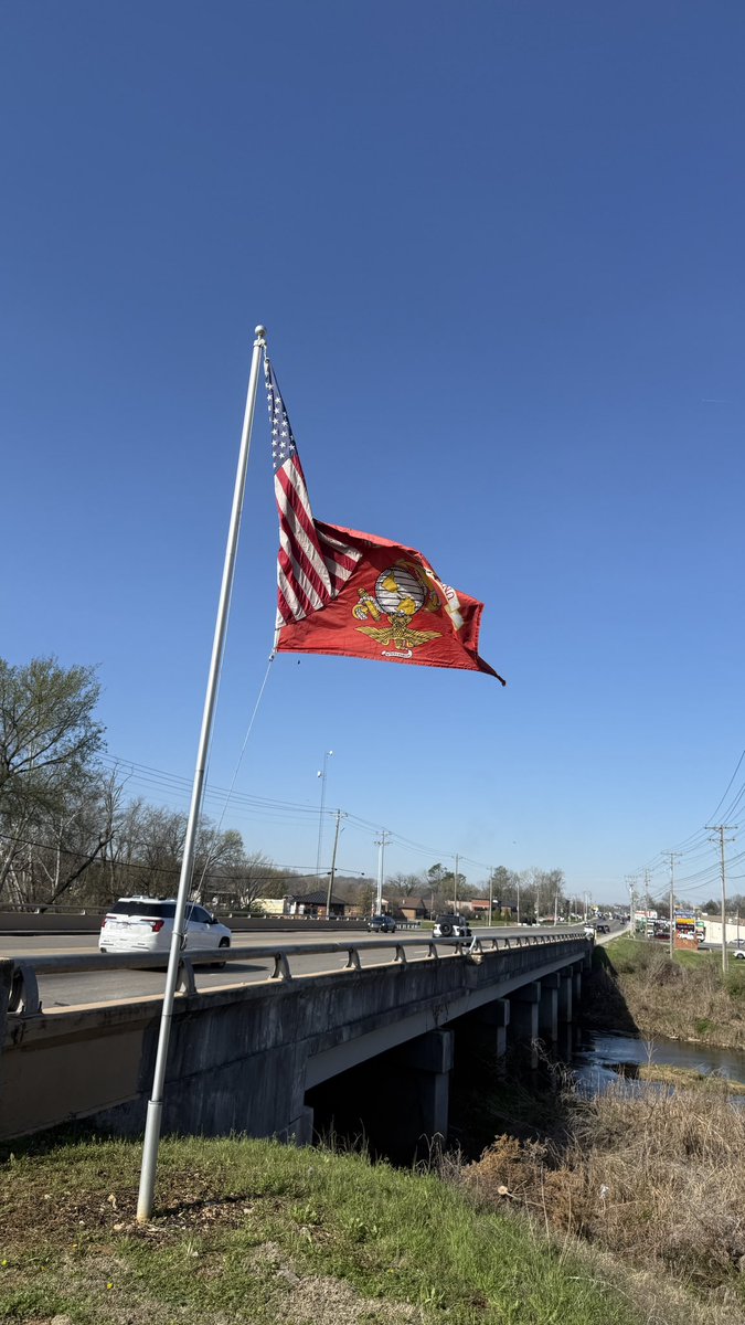 Orange Blooded tweet media