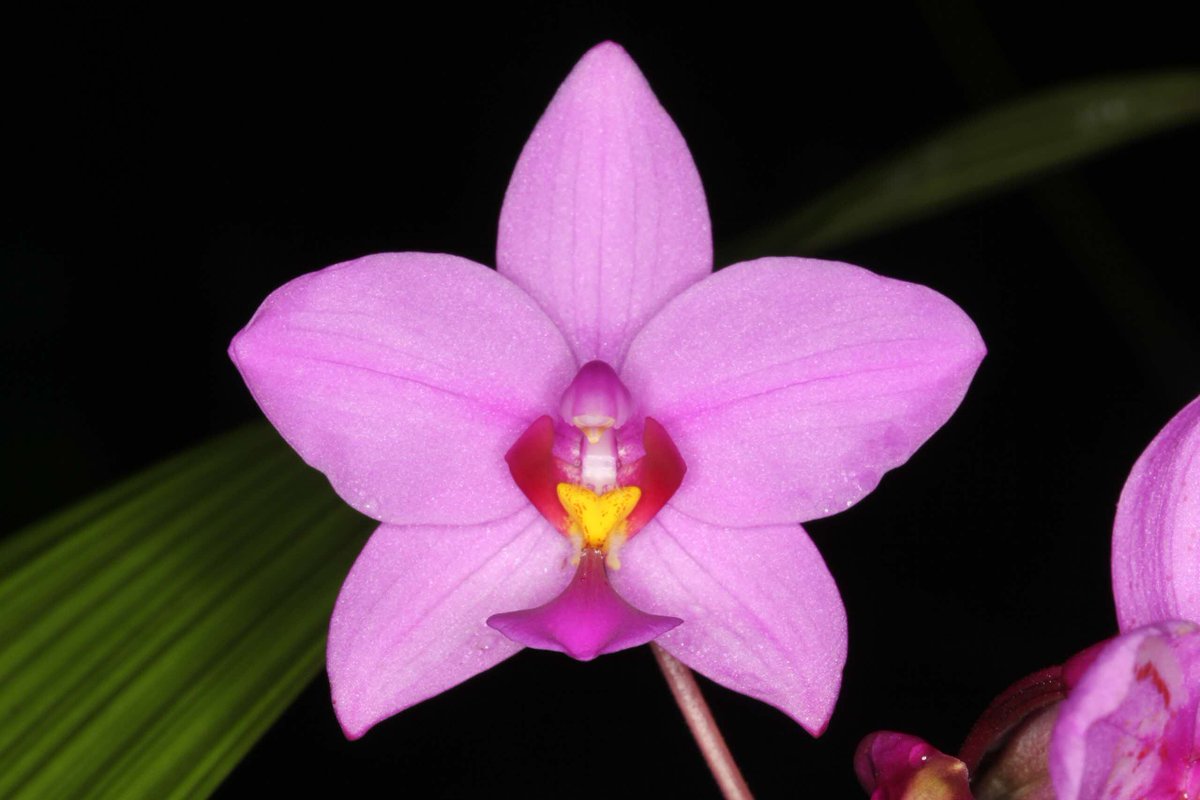 National Parks Board tweet media