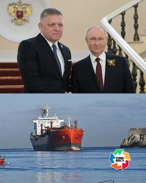 Štefan Kamenický tweet media