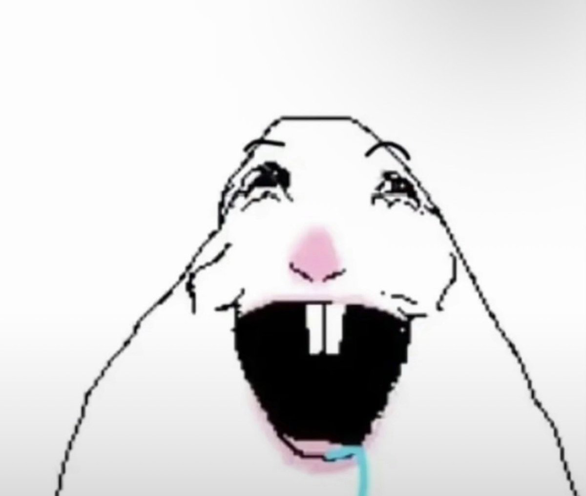 pardo🧸 tweet media