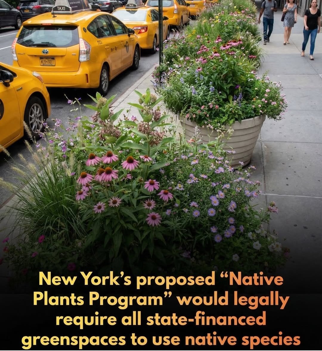 SriSathya tweet media