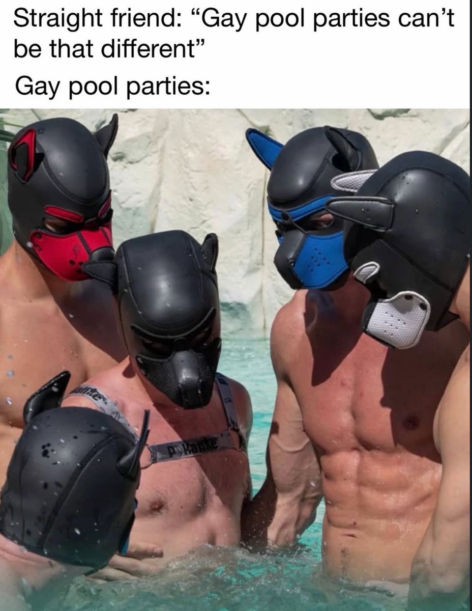 Chase The Pup tweet media