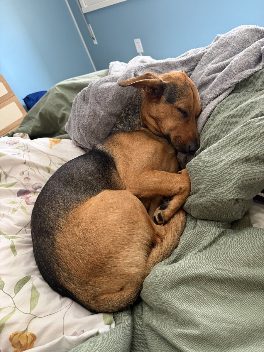 milkel scott tweet media