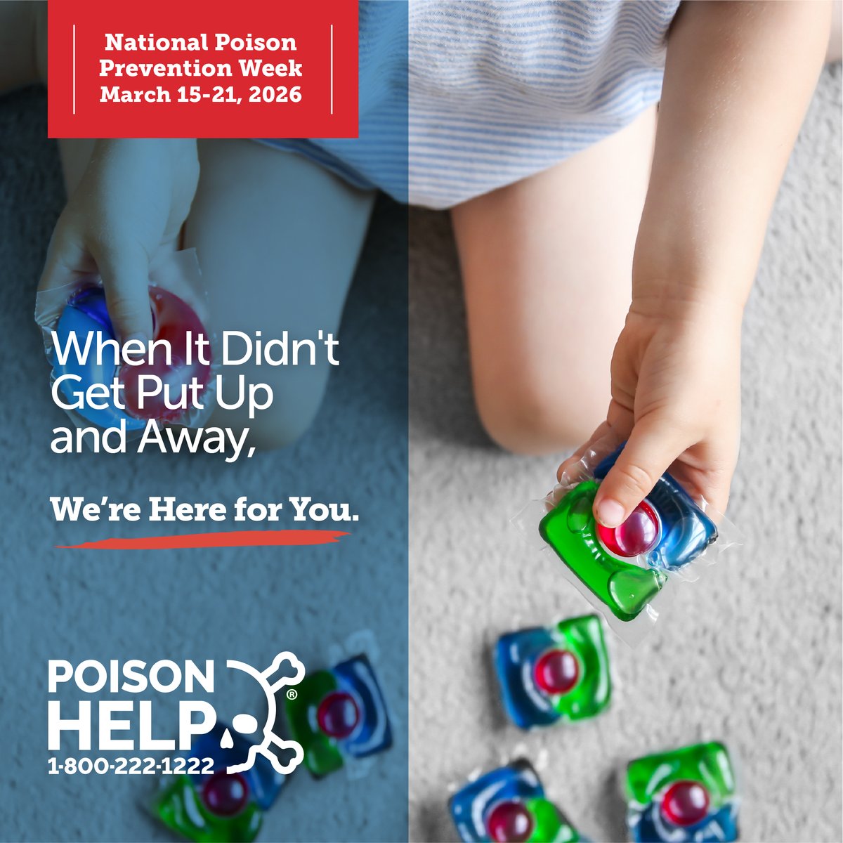 Massachusetts & Rhode Island Poison Center tweet media