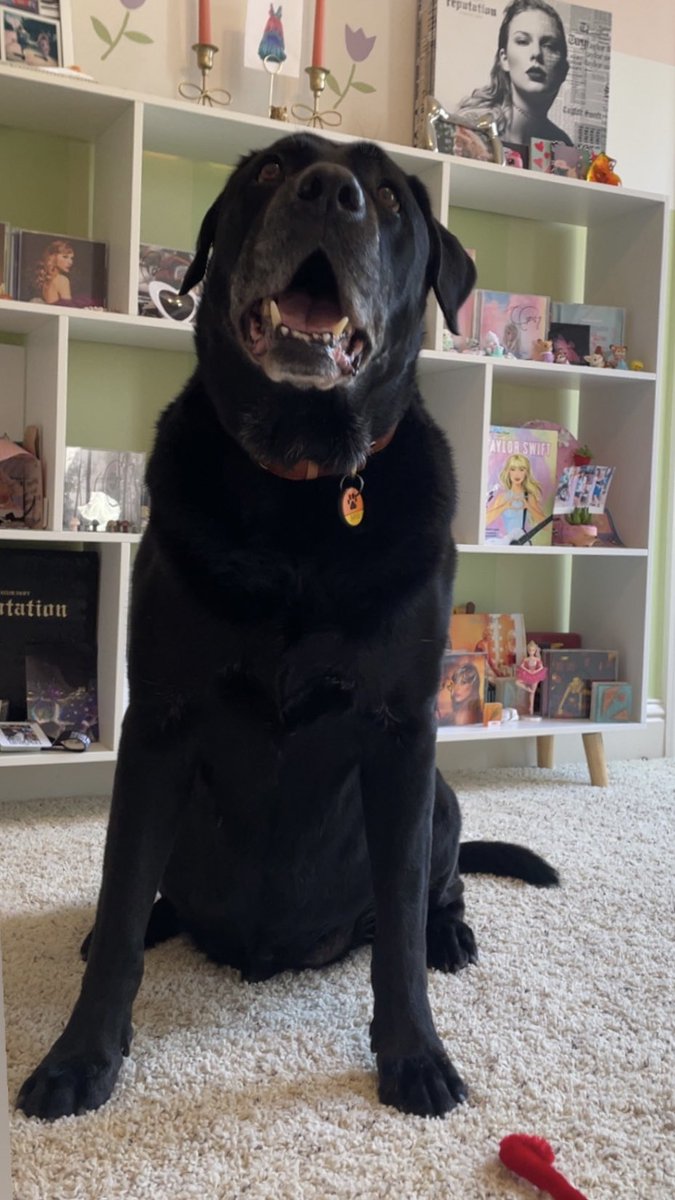 The Life of a fan girl❤️‍🔥 tweet media