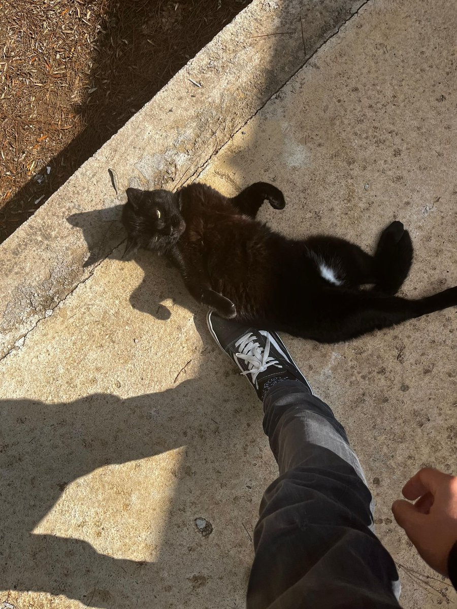 luna🍒 #boykot tweet media