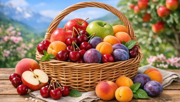 NDTVFood's tweet image. Which Indian State Is Known As The Fruit Bowl Of India?
food.ndtv.com/food-drinks/wh…
#fruit #himachalpradesh #india