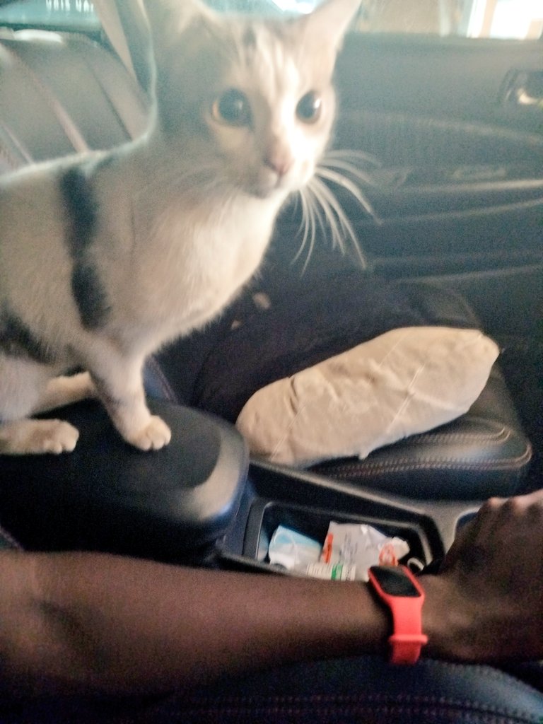 ᴇʟꜰᴏ 🇷🇼 tweet media