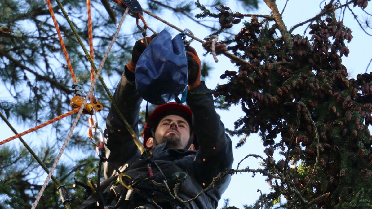 UNDP in Bosnia and Herzegovina tweet media