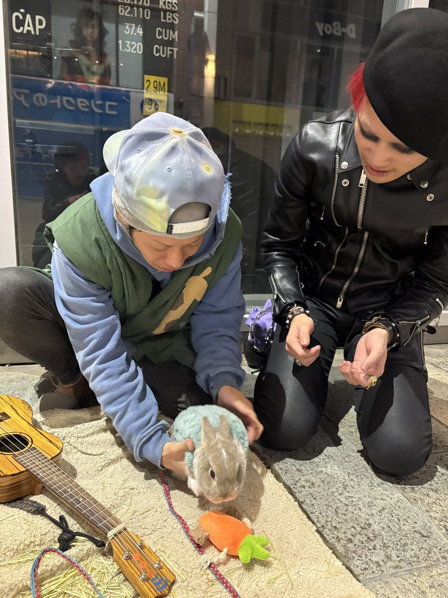 鎌形カヅキ tweet media