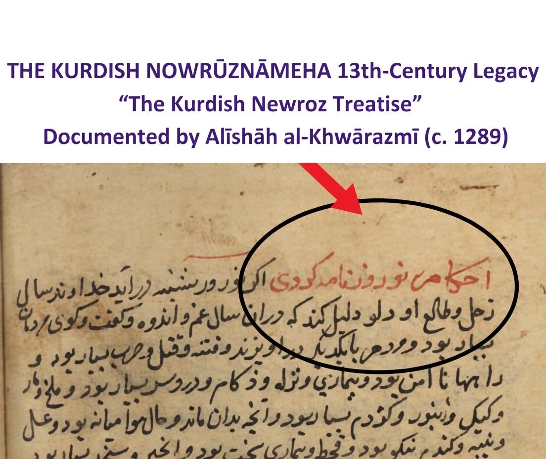 M.Saleh ghaderi tweet media