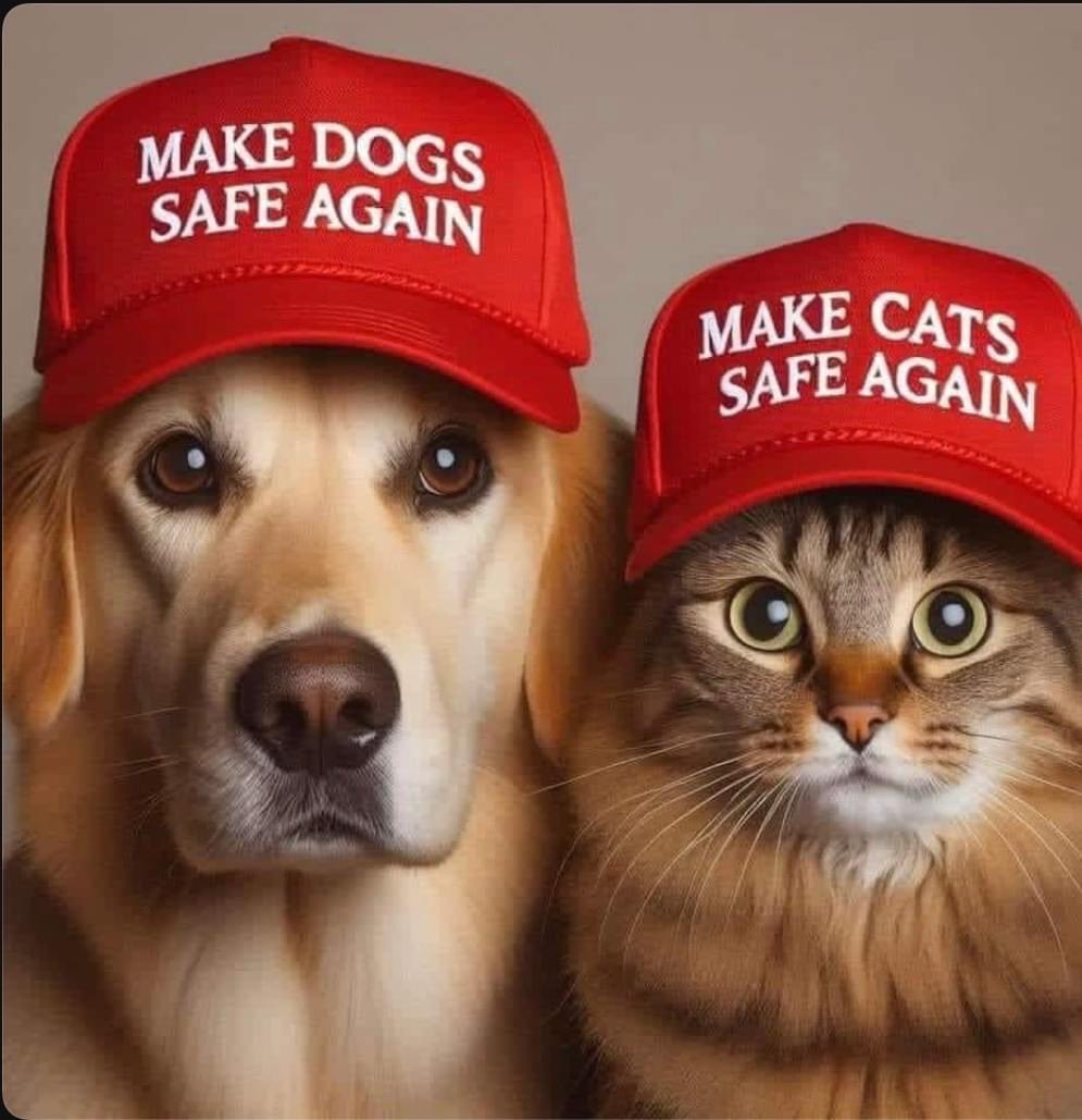 Mayli Van Hartman tweet media