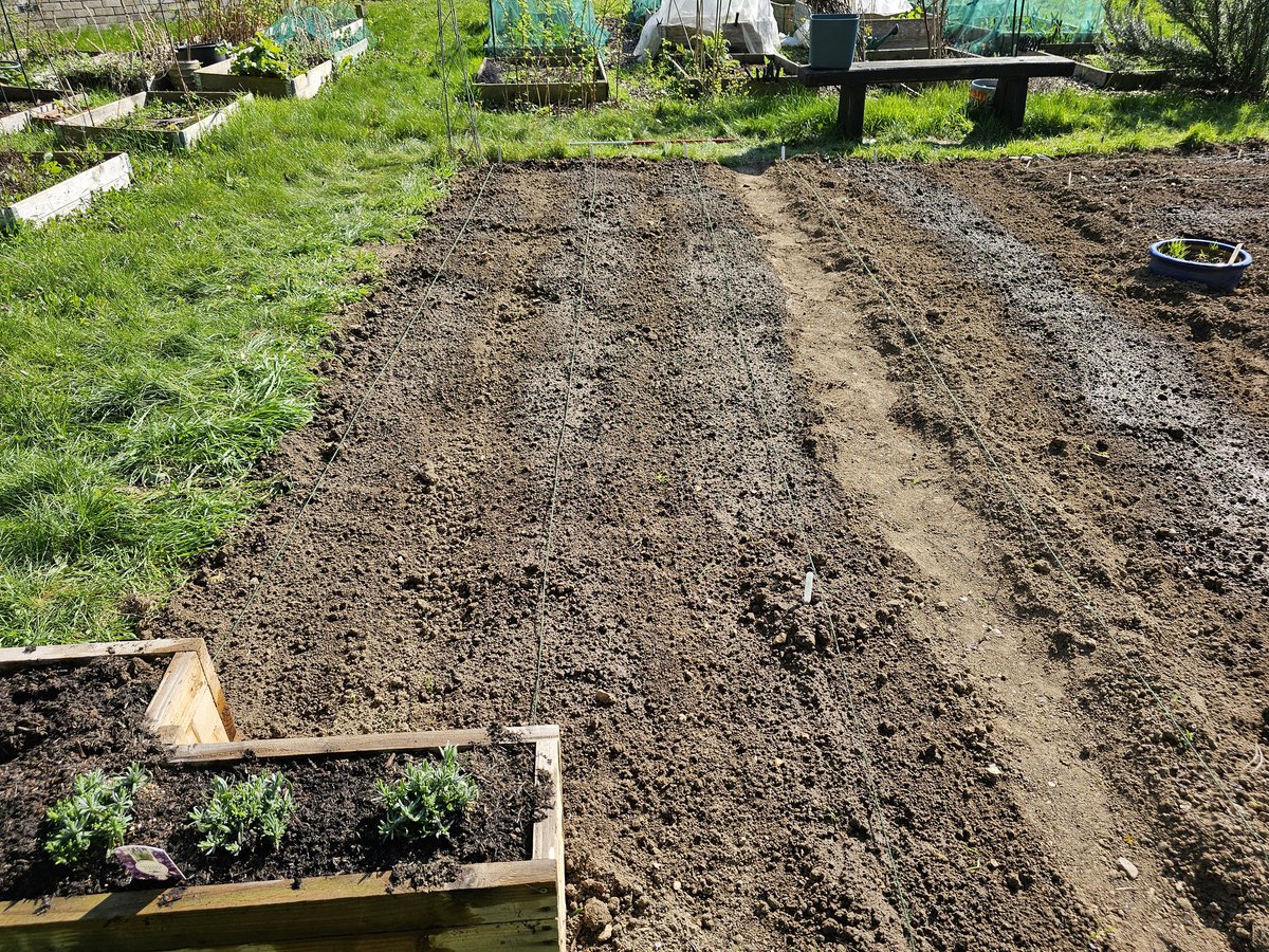 Keith McAdam 🏴󠁧󠁢󠁳󠁣󠁴󠁿 tweet media