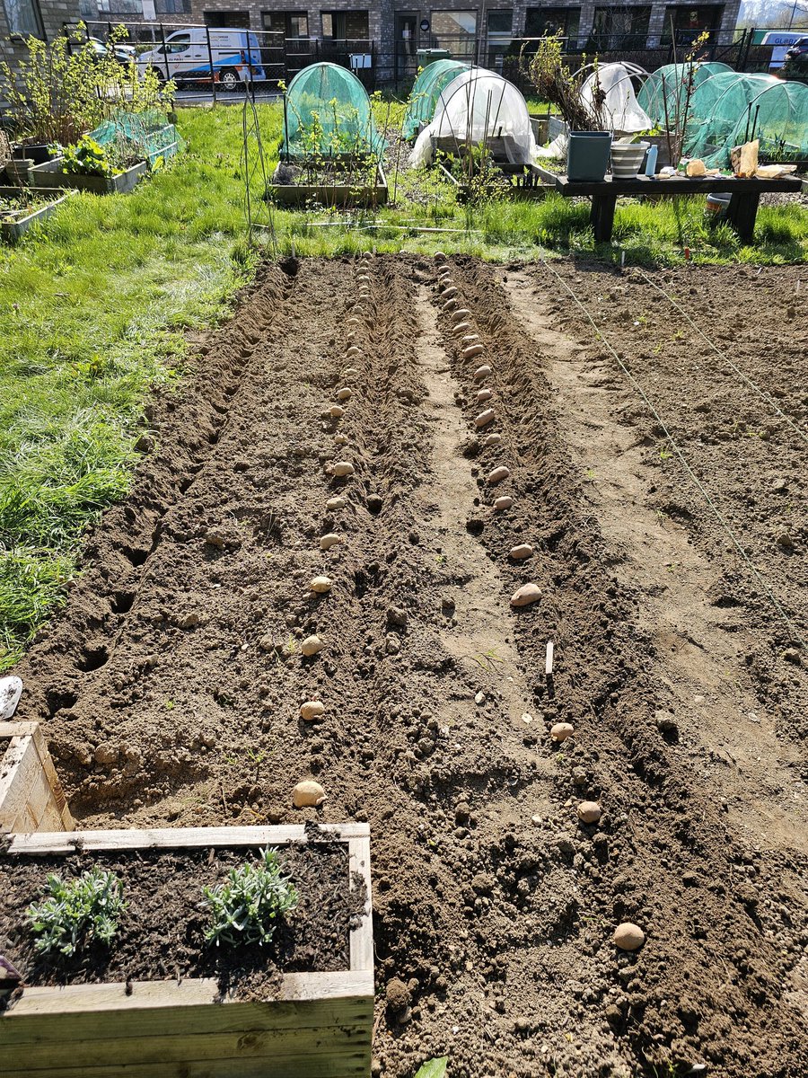 Keith McAdam 🏴󠁧󠁢󠁳󠁣󠁴󠁿 tweet media