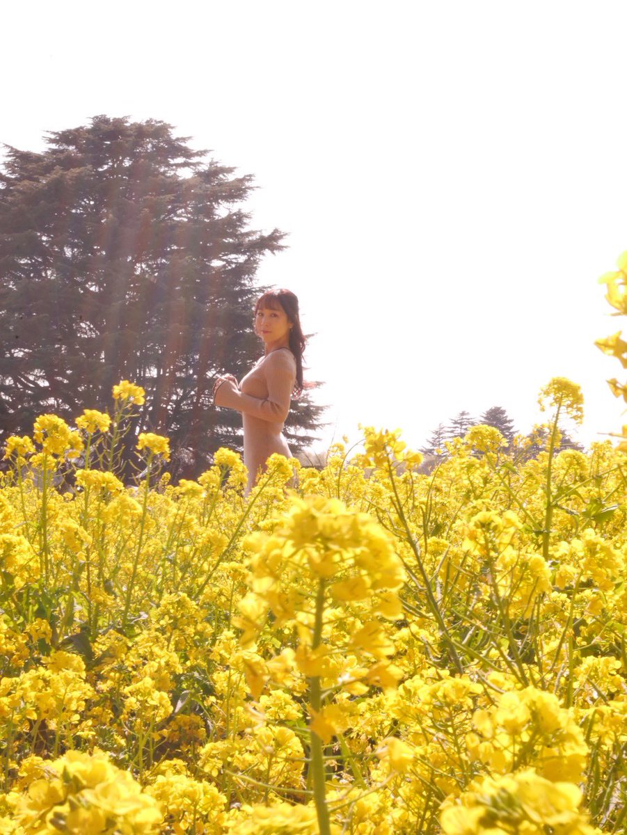 shio_early's tweet photo. 1年ぶり？くらいにお写真お願いしたら、
大変素敵に撮ってくださいました☺️🌼
とてもお気に入りのニットワンピです。
みてみて。
たーくさん色んなの撮ってもらったから、またぽつぽつ載せます✨

 #ポトレ  #ポートレート

撮影@hosyanko https://t.co/A7voH3cpLz